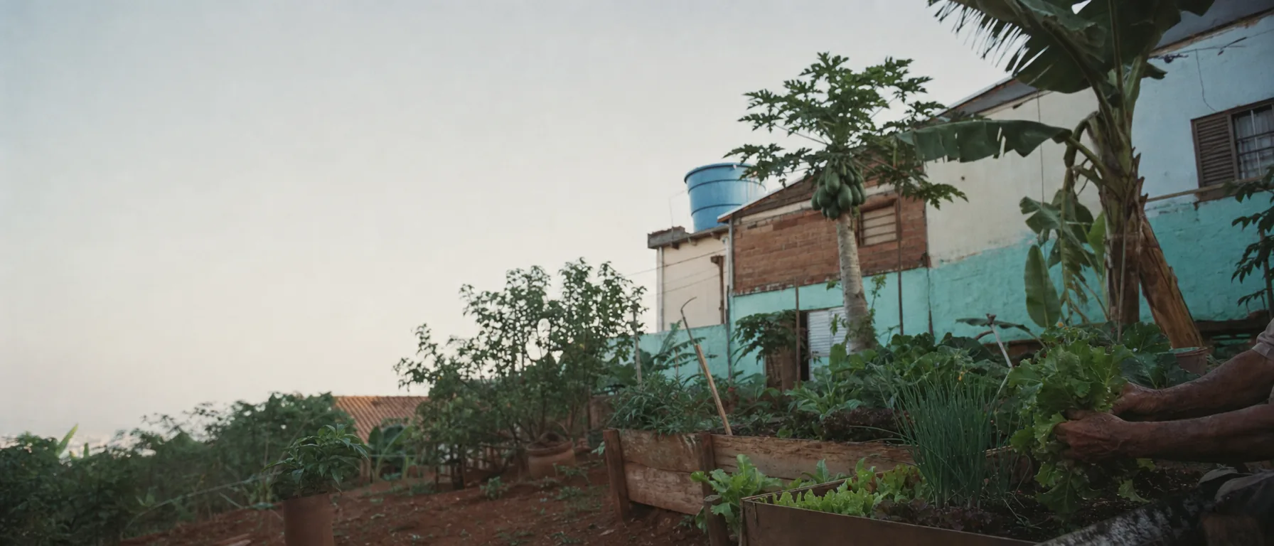 Eixo A — Água e Alimentos