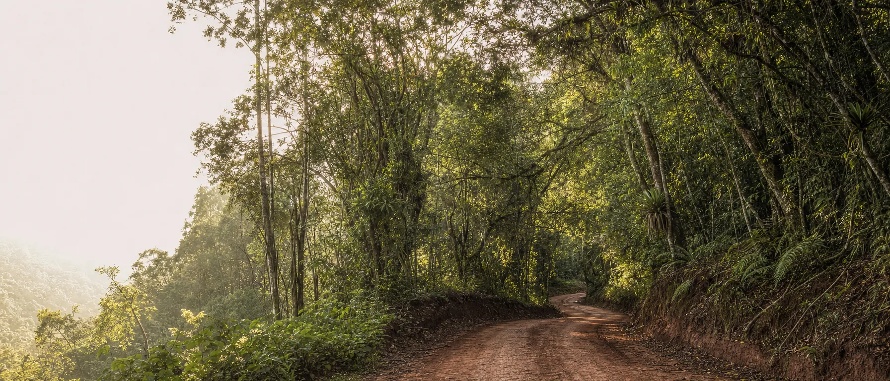 Eixo B — Biodiversidade e Biomas
